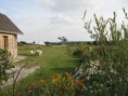 ACCUEIL FAMILIAL POUR CHIEN EN VACANCES